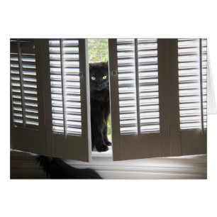 Schwarze Katze im Fenster Shutters, leere