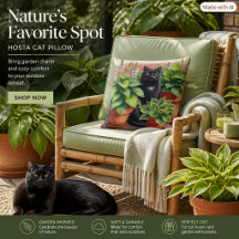 Schwarze Katze im Hosta Garden Cat Lover