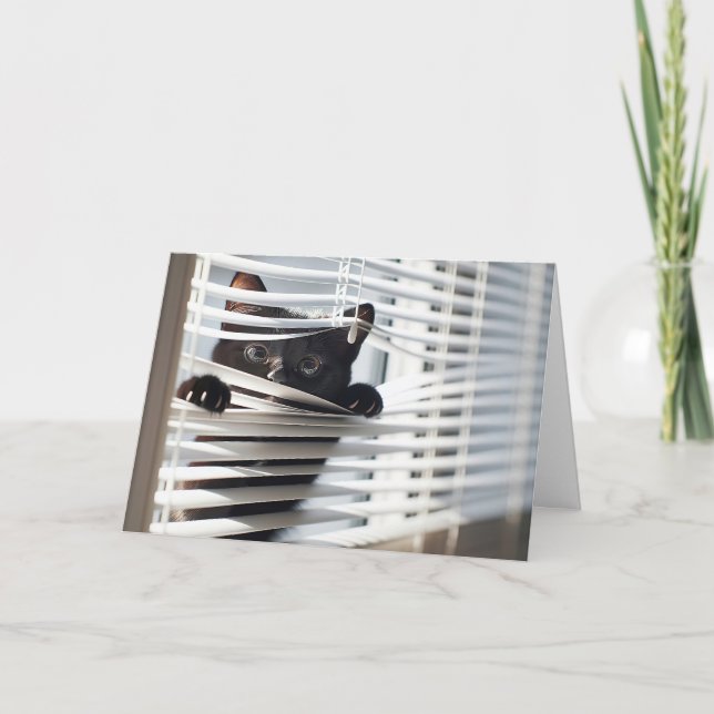 Schwarze Katze in Blinds Denken Sie an Sie Karte (Vorderseite)