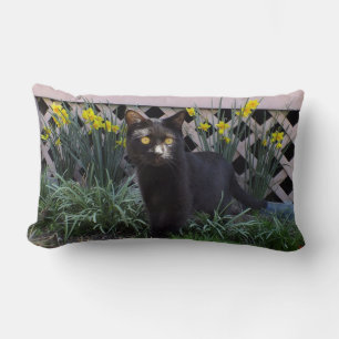 Schwarze Katze in Damendielen Kissen