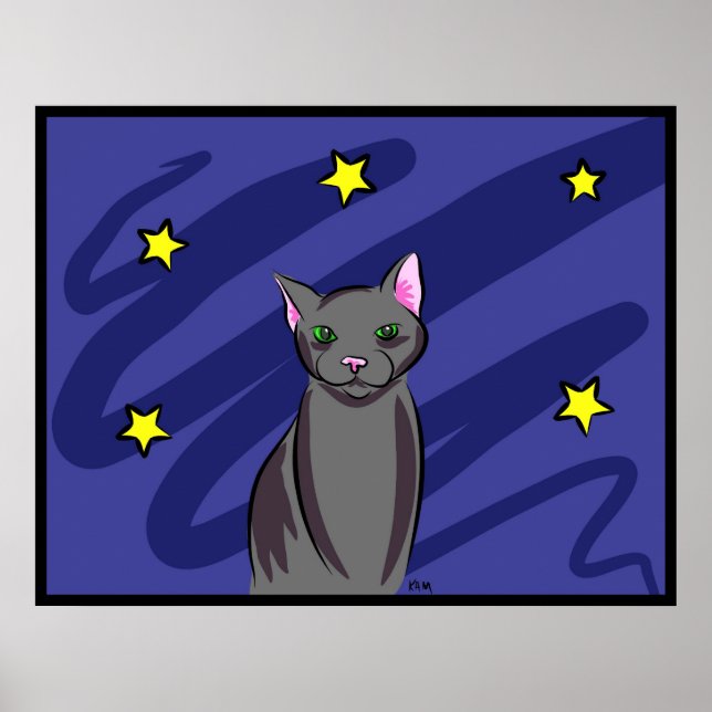 Schwarze Katze in der Nacht Poster (Vorne)