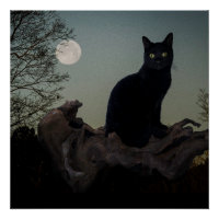 Schwarze Katze in einem Baum vor Vollmond