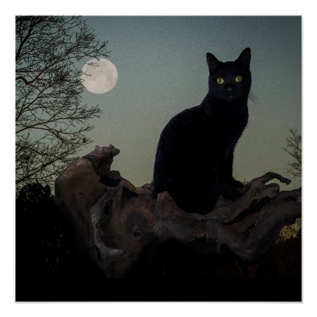 Schwarze Katze in einem Baum vor Vollmond Poster (Vorderseite)