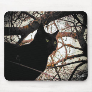 Schwarze Katze in einem unheimlichen Baum Mousepad