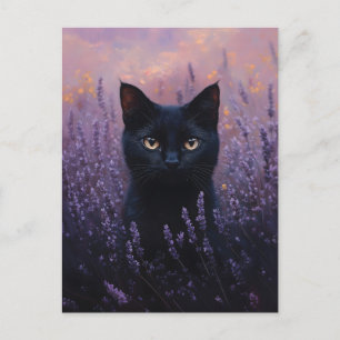 Schwarze Katze in einer Lavenderfelddarstellung Postkarte
