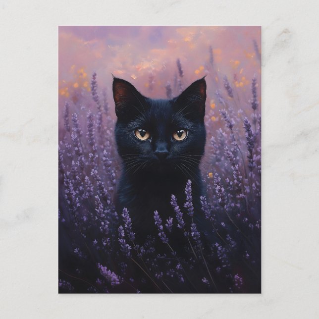Schwarze Katze in einer Lavenderfelddarstellung Postkarte (Vorderseite)