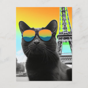 Schwarze Katze in einer Sonnenbrille in Paris Postkarte