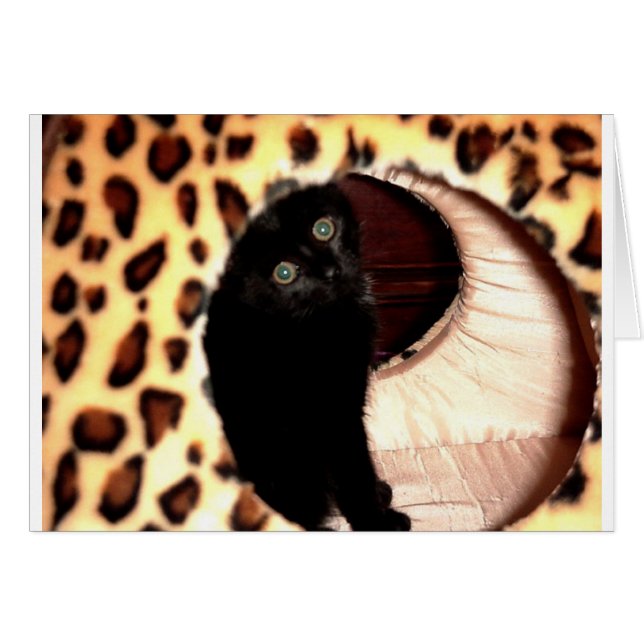 Schwarze Katze in Leopardenfibel (Vorderseite (Horizontal))