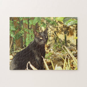 Schwarze Katze in Morgensun-Puzzlespiel Puzzle