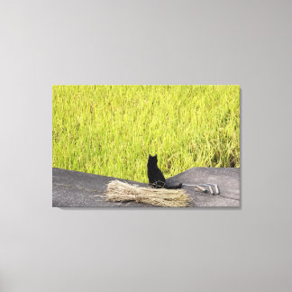 Schwarze Katze in Rice Paddy Leinwanddruck