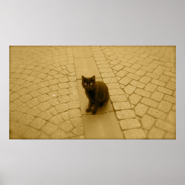 Schwarze Katze in Sepia Poster (Vorne)