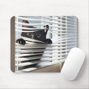 Schwarze Katze in weißen Blinds Mousepad