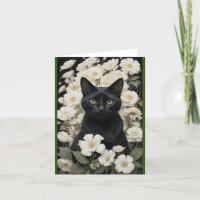 Schwarze Katze in weißen Blume