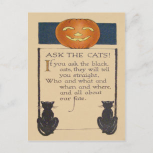 Schwarze Katze Jack O' Lantern Kürbis Postkarte