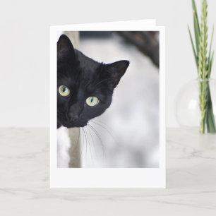 Schwarze Katze Karte