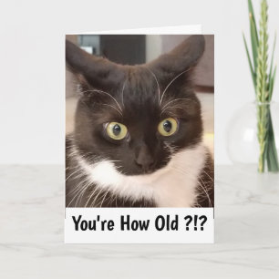 Schwarze Katze Karte