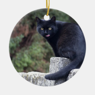 Schwarze Katze Keramik Ornament