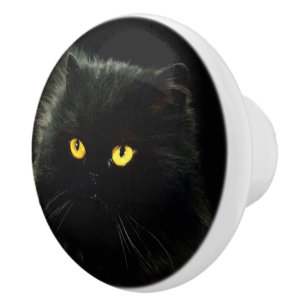 Schwarze Katze Keramikknauf
