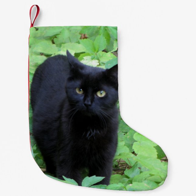 Schwarze Katze Kleiner Weihnachtsstrumpf (Vorderseite)