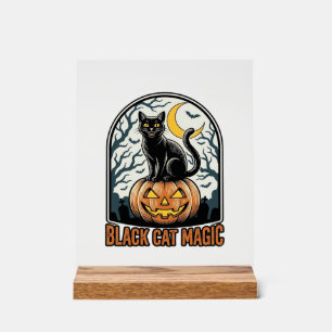 Schwarze Katze Kürbis Vintage Halloween Gravur_1 Acrylschild