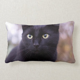 schwarze Katze Lendenkissen