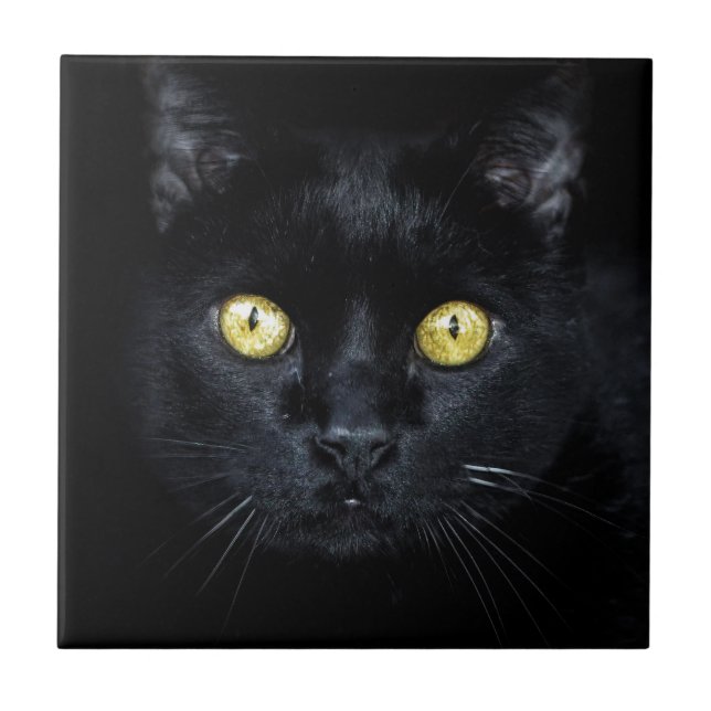 Schwarze Katze, magische Augen Fliese (Vorderseite)