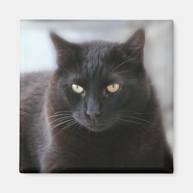 Schwarze Katze Magnet (Vorne)