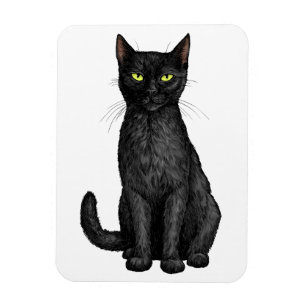 Schwarze Katze Magnet