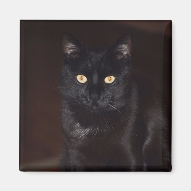 Schwarze Katze Magnet (Vorne)