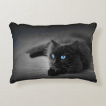Schwarze Katze mit auffallenden blauen Augen – Fel