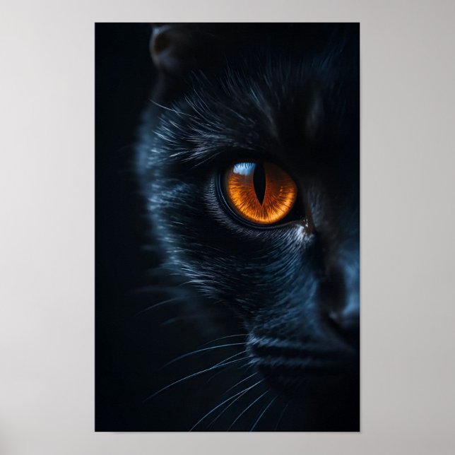 Schwarze Katze mit Bernstein-Auge Poster (Vorne)