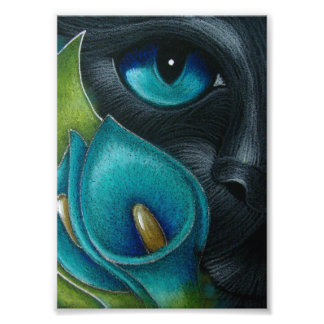 SCHWARZE KATZE mit BLAU/AQUA-CALLA LILY-BLUME DRUC Fotodruck