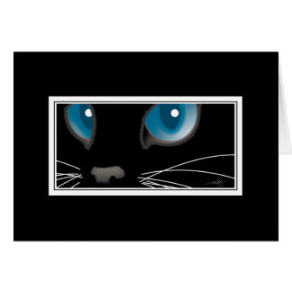 Schwarze Katze mit blauen Augen