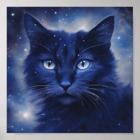 Schwarze Katze mit blauen Augen auf einem Sternenh