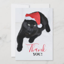 Schwarze Katze mit der roten Weihnachtsmannmütze