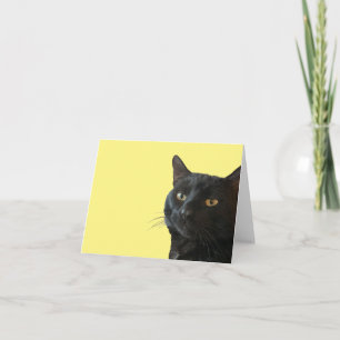 Schwarze Katze mit einem lustigen, eigenartigen Au Karte