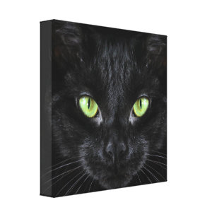 Augen Katze Leinwandkunst Zazzle At