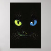 Schwarze Katze mit grünen und blauen Augen