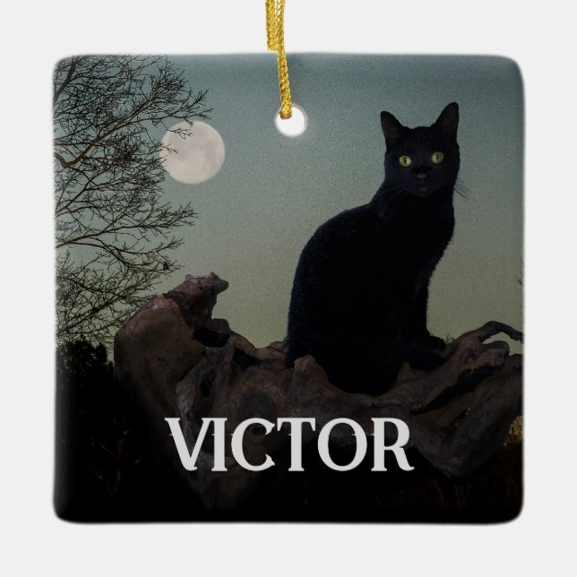 Schwarze Katze mit Mond auf Baumgrenze Keramikornament (Vorderseite)