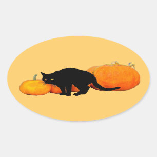 Schwarze Katze mit Pumpkins anordnen Ovaler Aufkleber