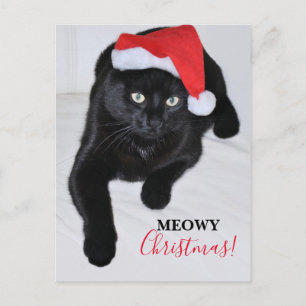 Schwarze Katze mit roter Weihnachtsmannmütze Postkarte