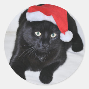 Schwarze Katze mit roter Weihnachtsmannmütze Runder Aufkleber
