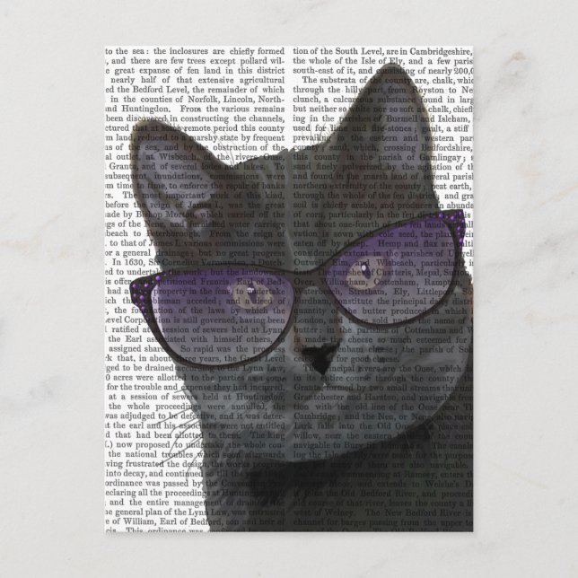 Schwarze Katze mit Sonnenbrille 2 Postkarte (Vorderseite)