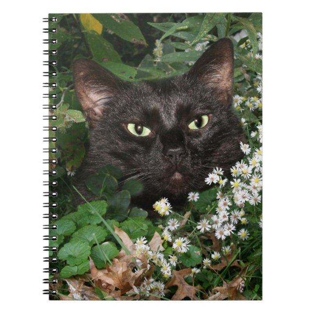 Schwarze Katze mit Wildblumen Notizblock (Vorderseite)