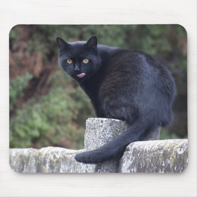Schwarze Katze Mousepad (Vorne)