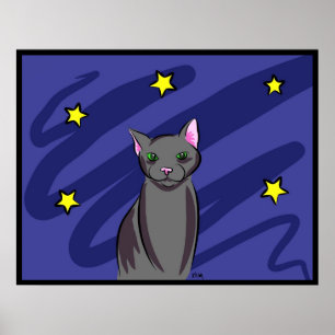 Schwarze Katze nachts Poster