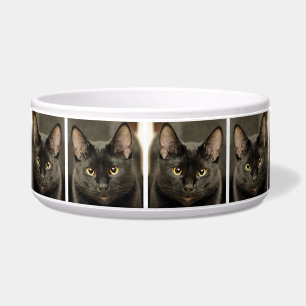 Schwarze Katze Napf