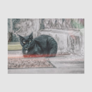 Schwarze Katze Niedlich Vintage Antik Alter Stil K Seidenpapier