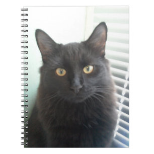 Schwarze Katze Notizblock