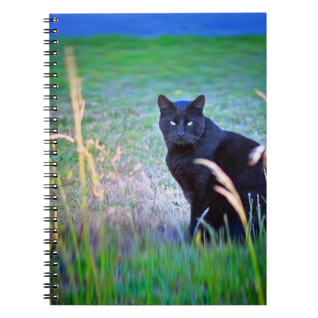 Schwarze Katze Notizblock (Vorderseite)